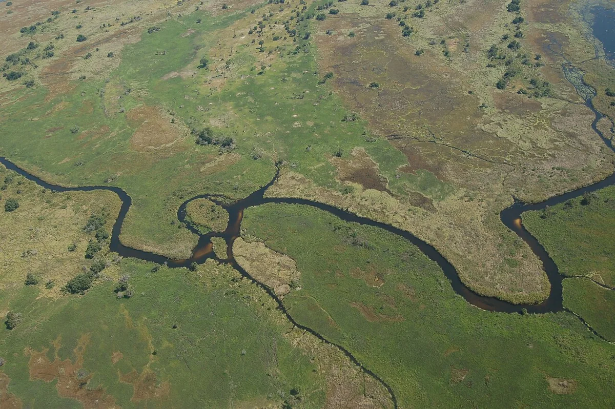 Okavango Deltası · Botswana