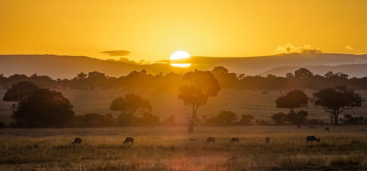 Masái Mara · Kenia