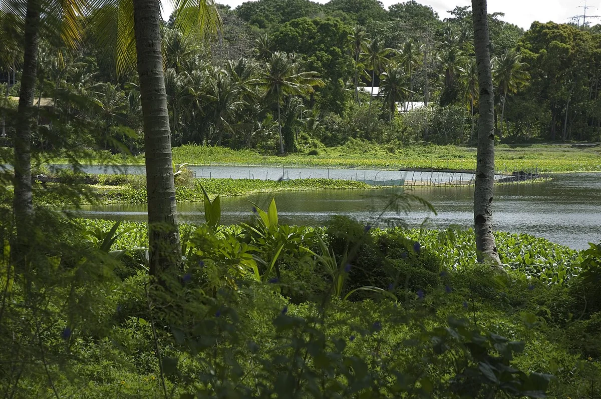 Buada Lagoon · Nauru