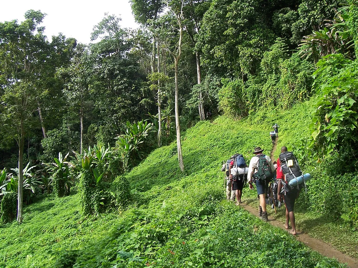 Kokoda Track · Papua Yeni Gine