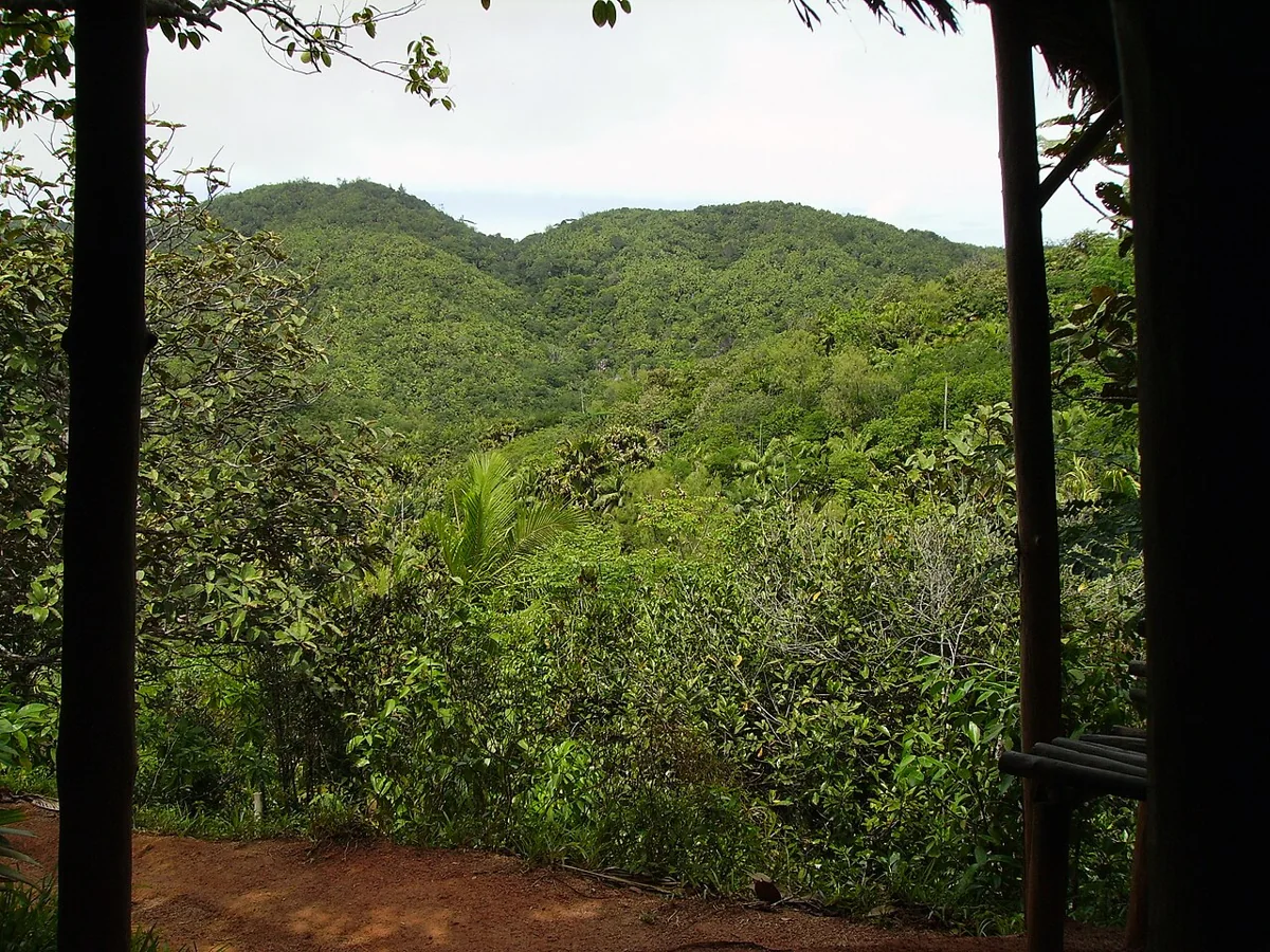 Vallée de Mai · Seyşel Adaları