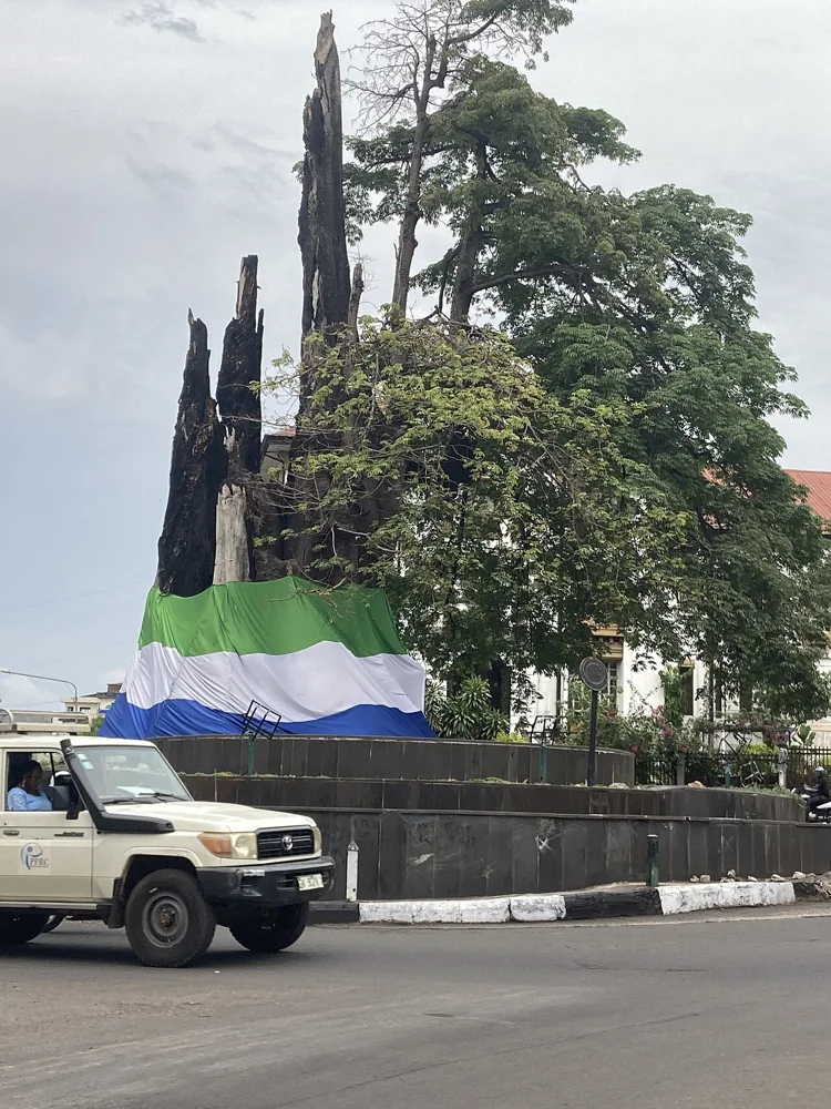Cotton Tree (Sierra Leone) · Sierra Leone
