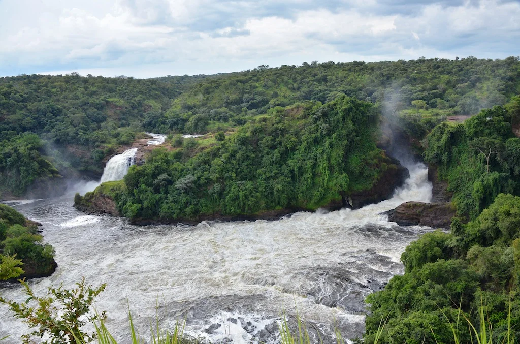 Murchison Şelaleleri · Uganda